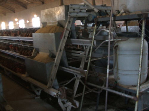 日照養(yǎng)雞設(shè)備 煜鑫畜牧 已認(rèn)證 養(yǎng)雞設(shè)備