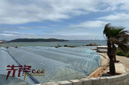 水產(chǎn)品養(yǎng)殖中藥品與飼料添加劑的應(yīng)用與規(guī)范