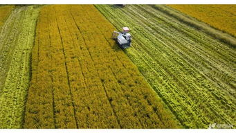 湖州美味躍上杭州餐桌 千張包、紅燒湖羊與太湖蟹肉的傳承與創(chuàng)新