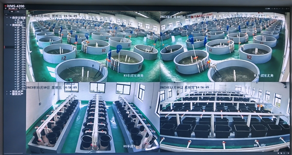 京東以供應(yīng)鏈與金融科技為翼，助力水產(chǎn)品養(yǎng)殖業(yè)提質(zhì)增效，全年服務(wù)收入增長(zhǎng)17.8%彰顯實(shí)體經(jīng)濟(jì)賦能價(jià)值