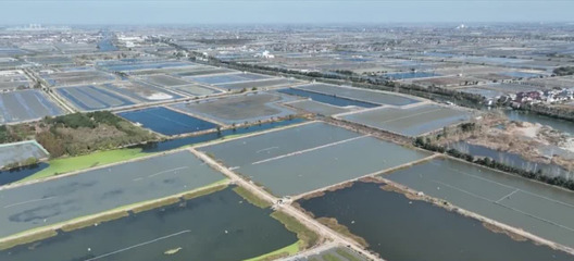 泰州興化 農(nóng)技專家一線支招，“一池雙養(yǎng)”模式助力水產(chǎn)品養(yǎng)殖增收