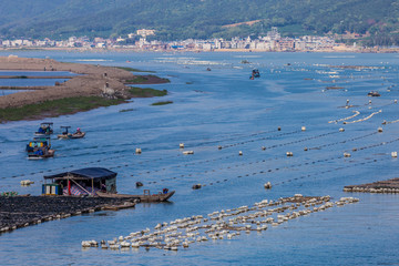 海洋的珍珠 生蠔養(yǎng)殖場(chǎng)的生態(tài)與經(jīng)濟(jì)效益
