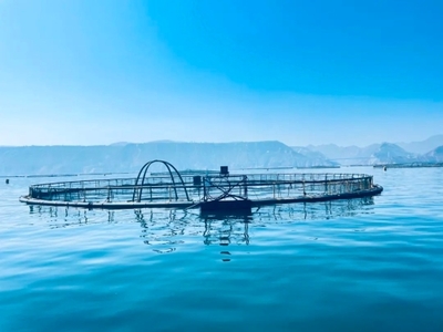 定西市畜牧獸醫(yī)局 打造漁業(yè)經(jīng)濟(jì)新增長(zhǎng)點(diǎn)，助推甘肅現(xiàn)代漁業(yè)高質(zhì)量發(fā)展