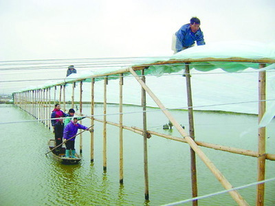 水產(chǎn)養(yǎng)殖戶提前遭遇低溫“大考”，積極應(yīng)對(duì)確保“魚躍龍門”